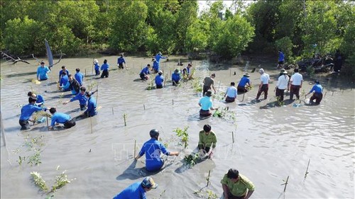 Chương trình “Hành động vì một Việt Nam xanh” trồng thêm 120.000 cây xanh tại Cà Mau - ảnh 1