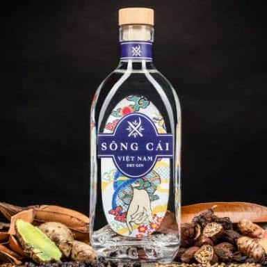 Tăng cường nội lưc kiều bào cho phát triển đất nước Việt Nam - ảnh 3