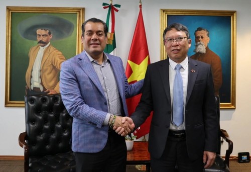 Đưa quan hệ Việt Nam - Mexico lên một bước phát triển mới - ảnh 1