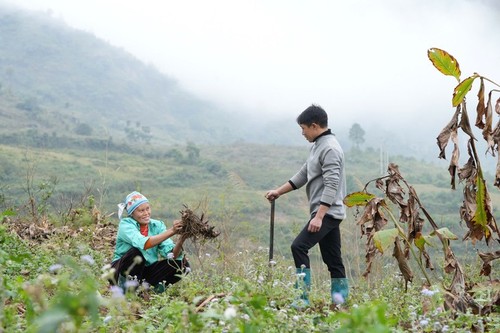  IFAD tăng cường hỗ trợ nông nghiệp VN thích ứng với biến đổi khí hậu và phát triển Xanh - ảnh 2