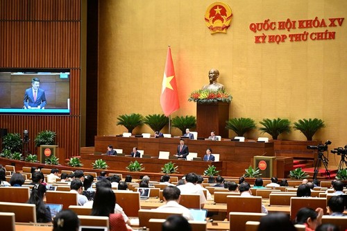 Quốc hội tiếp tục thảo luận về một số dự thảo luật - ảnh 1