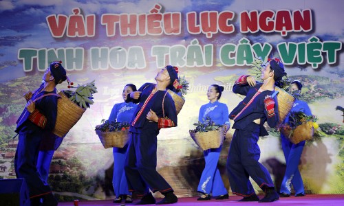 Vải thiều Lục Ngạn - Tinh hoa trái cây Việt - ảnh 1