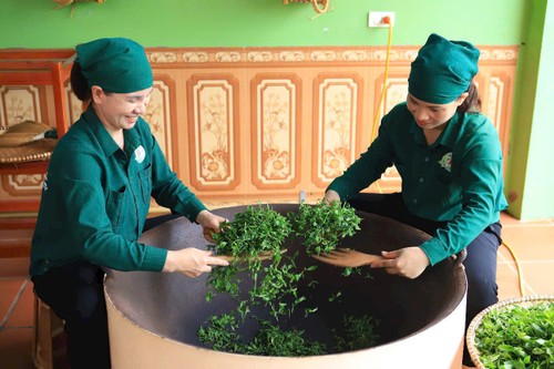 Nâng cao giá trị trà Việt, vươn tầm thế giới - ảnh 5