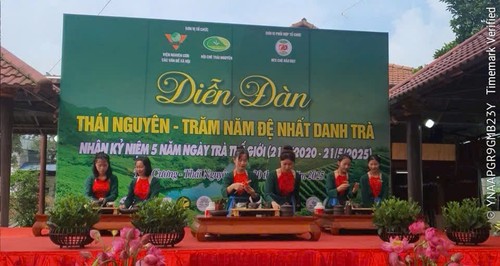 Nâng cao giá trị trà Việt, vươn tầm thế giới - ảnh 6