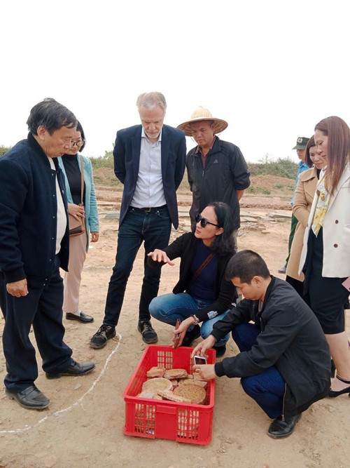 Thành Nhà Hồ: Những phát hiện quan trọng dưới lòng đất - ảnh 1