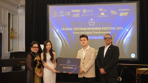 Dự án vật liệu cách nhiệt từ Rơm (Straw Wood) giải nhất cuộc thi GVB Startup 2025  - ảnh 3