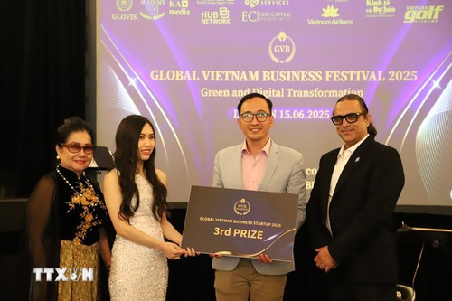 Dự án vật liệu cách nhiệt từ Rơm (Straw Wood) giải nhất cuộc thi GVB Startup 2025  - ảnh 5