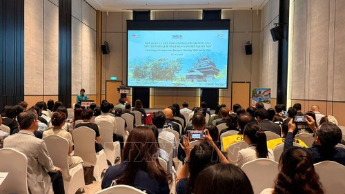Tăng cường kết nối trực tiếp, thúc đẩy du lịch song phương Việt Nam – Nhật Bản - ảnh 1