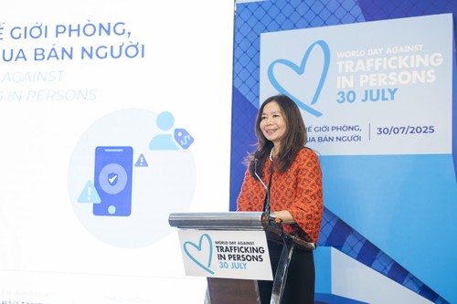 Việt Nam và đối tác quốc tế tăng cường hợp tác bảo vệ, bảo đảm quyền con người trong kỷ nguyên số - ảnh 3