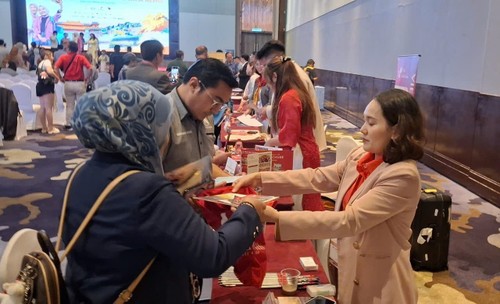 Huế và Đà Nẵng chinh phục thị trường du khách Malaysia - ảnh 1