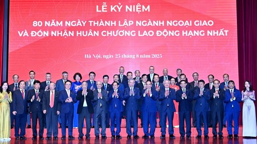 Sự chuyển mình mạnh mẽ của ngoại giao Việt Nam - ảnh 3
