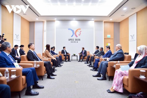 Phát triển hơn nữa quan hệ thực chất Việt Nam - Brunei - ảnh 2