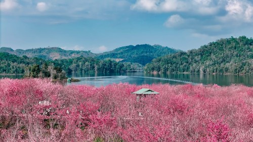 Ném còn -  biểu tượng văn hóa, thắm tình hữu nghị biên cương Việt Nam- Lào- Trung Quốc - ảnh 1
