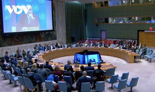 Việt Nam sẵn sàng đóng góp thiết thực cho hòa bình và tái thiết Gaza - ảnh 2