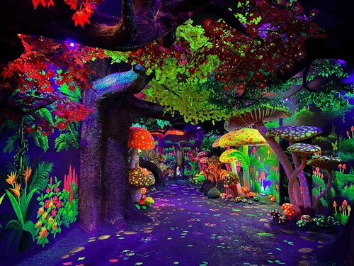 Cổng trời Ô Quy Hồ: Điểm hẹn văn hóa giữa kỳ quan thiên nhiên Tây Bắc - ảnh 8