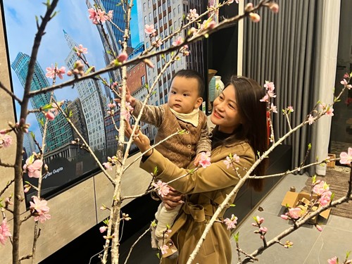 Đào rừng xuống núi mang theo sắc xuân rực rỡ nơi vùng cao Tây Bắc - ảnh 5