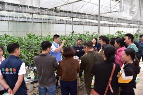 Trưởng đại diện FAO: Số hóa và Xanh hóa là “chìa khóa” cho tương lai nông nghiệp Việt Nam - ảnh 4