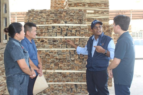 Trưởng đại diện FAO: Số hóa và Xanh hóa là “chìa khóa” cho tương lai nông nghiệp Việt Nam - ảnh 5