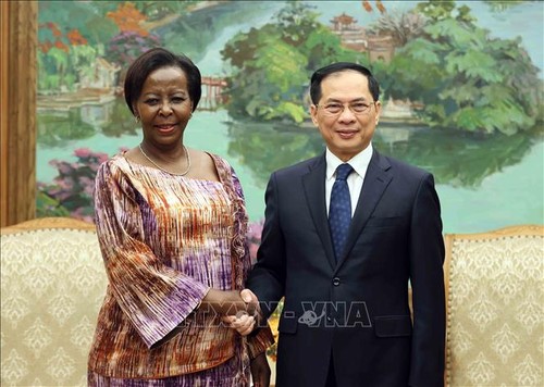 Những thành tựu phát triển của Việt Nam là niềm tự hào của Cộng đồng Pháp ngữ - ảnh 1