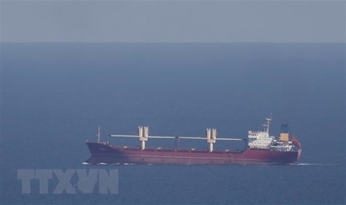 Украина и ЕС обсудили возможные коридоры для экспорта зерна - ảnh 1