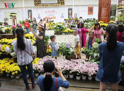 2018年顺化艺术节期间游览顺化的游客剧增 - ảnh 1