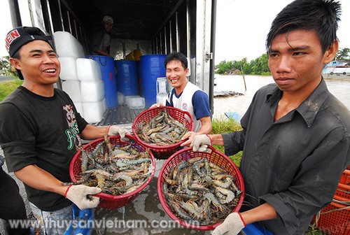 ជលផលវៀតណាមដាក់ចេញគោលដៅនាំចេញ ១០ ពាន់លានដុល្លារអាមេរិក - ảnh 1