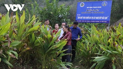 ខេត្ត Bac Kan ផ្លាស់ប្តូរយ៉ោងខ្លាំងក្លាពីគំរូសហករណ៍បែបថ្មី - ảnh 1