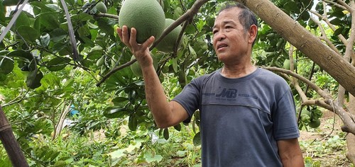 យុទ្ធជនពិការ Nguyen Quang Toan - គំរូឆ្នើមក្នុងការជួយឧបត្ថម្ភប្រជាជនធ្វើផលិតកសិកម្ម - ảnh 1