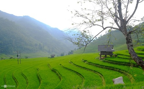 ទេសភាពដ៏សុខសាន្តរបស់ Nam Cang - Sapa - ảnh 6