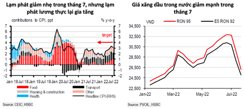 ធនាគារ HSBC៖ សេដ្ឋកិច្ចវៀតណាមបន្តសម្រេចបានជោគជ័យ - ảnh 1