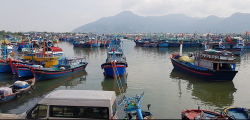 ប្រជានេសាទនៅភូមិ Ca Na ខេត្ត Ninh Thuan ច្បាមជាប់លំហសមុទ្រ - ảnh 2