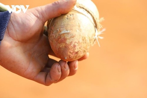 វាយ tu lu ល្បែងដ៏វិសេសវិសាលរបស់បងប្អូនជនរួមជាតិ Mong - ảnh 5