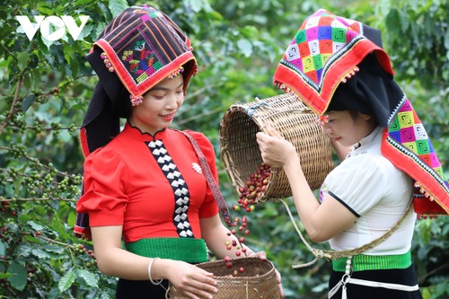 ពិធីបុណ្យកាហ្វេខេត្ត Son La រួមចំណែកលើកតម្កើងកាហ្វេវៀតណាម - ảnh 1