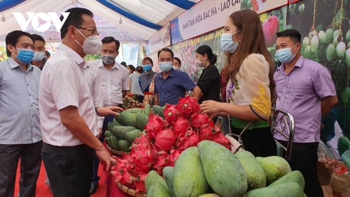 ជំរុញ​ខ្លាំង​ការ​បញ្ចេញ​លក់កសិផលនៅតំបន់ព្រៃ​ភ្នំ និង​តំបន់ឆ្ងាយ​ដាច់ស្រយាល - ảnh 2