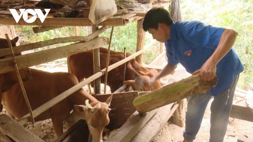 កម្លាំង​ចលករ​ដើម្បីយុវជន Son La ចាប់ផ្តើមអាជីវកម្ម - ảnh 2