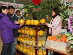 Hội chợ Xuân 2013 sẽ được khai mạc từ ngày 28/01 đến ngày 07/02/2013 - ảnh 1