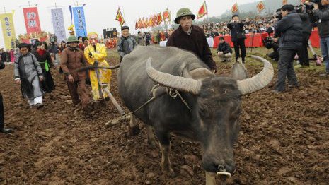 Lễ hội tịch điền tại xã Đọi Sơn, Duy Tiên, Hà Nam khai hội vào mùng 6 Tết - ảnh 1