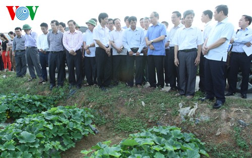 Chủ tịch Ủy ban TƯ MTTQ Việt Nam Nguyễn Thiện Nhân khảo sát mô hình Hợp tác xã tại Thanh Hóa - ảnh 1