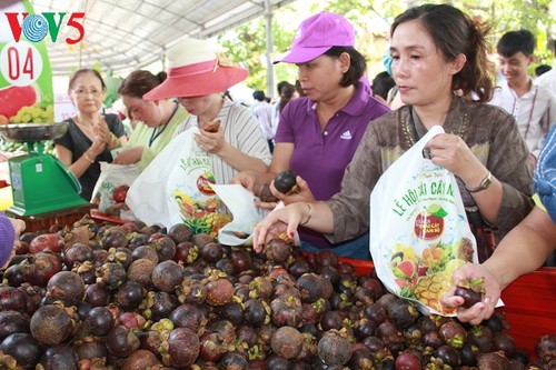 Khai mạc Lễ hội Trái cây Nam Bộ - ảnh 2