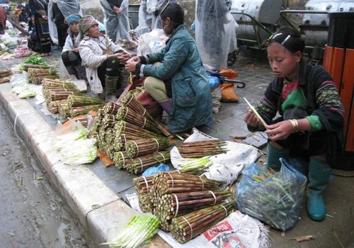 Hội nghị AMM 50: Việt Nam cam kết cùng ASEAN thúc đẩy sáng kiến đầu tư cho phụ nữ - ảnh 1