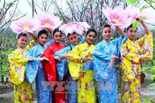 Sự kiện Hoa Anh đào – Pá Khoang – Điện Biên năm 2018: Tôn vinh vẻ đẹp và ý nghĩa của hoa anh đào - ảnh 2