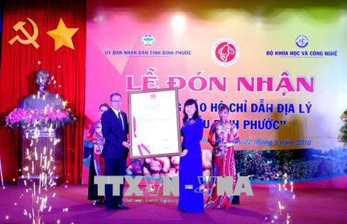 Đón nhận bảo hộ chỉ dẫn địa lý “Hạt điều Bình Phước” - ảnh 1