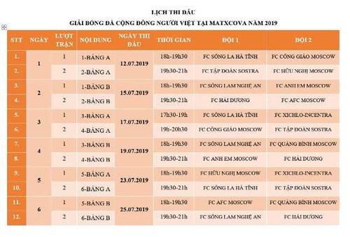 Khai mạc Giải bóng đá cộng đồng Việt Nam tại Liên bang Nga năm 2019 - ảnh 5