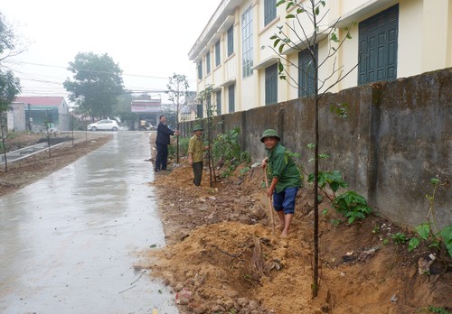 Ước nguyện vì màu xanh quê hương - ảnh 6