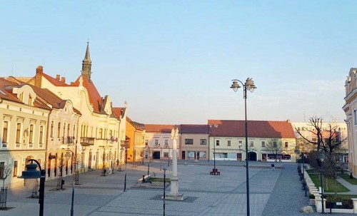 Người Việt ở Slovakia tặng các vật dụng y tế cho người dân bản địa - ảnh 2