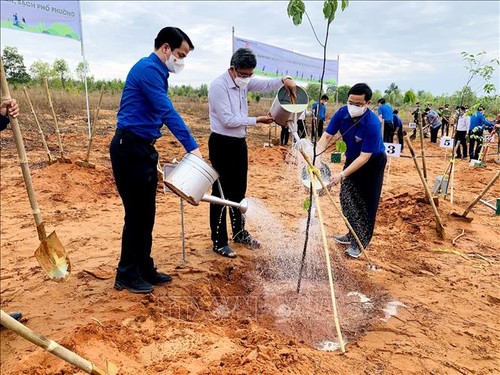 Ra quân “Ngày Chủ nhật xanh” toàn quốc năm 2022 - ảnh 1