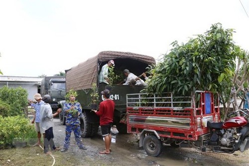 Thông tin biển đảo ngày 12/11/2022 - ảnh 4