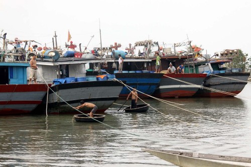 Thông tin biển đảo ngày 02/12/2022 - ảnh 3