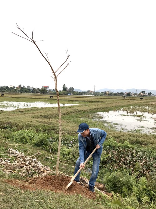 Kiều bào CHLB Đức khơi dậy tình yêu trồng và chăm sóc cây xanh - ảnh 9