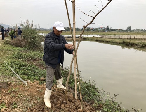 Kiều bào CHLB Đức khơi dậy tình yêu trồng và chăm sóc cây xanh - ảnh 3